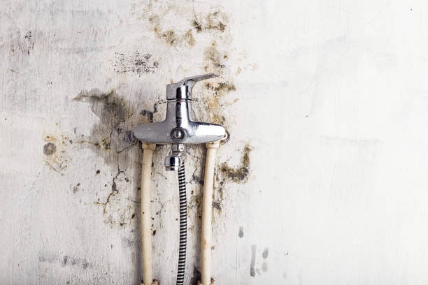 Best Localized Mold Remediation (e.g., coastal areas, humid climates) in Wymore, NE