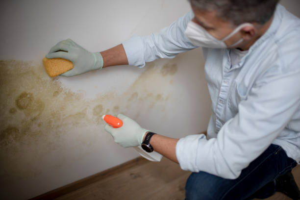 Best Bathroom Mold Remediation in Wymore, NE